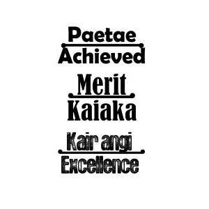 Acheived Merit Excellence Self Inking Stamp in English and Te Reo